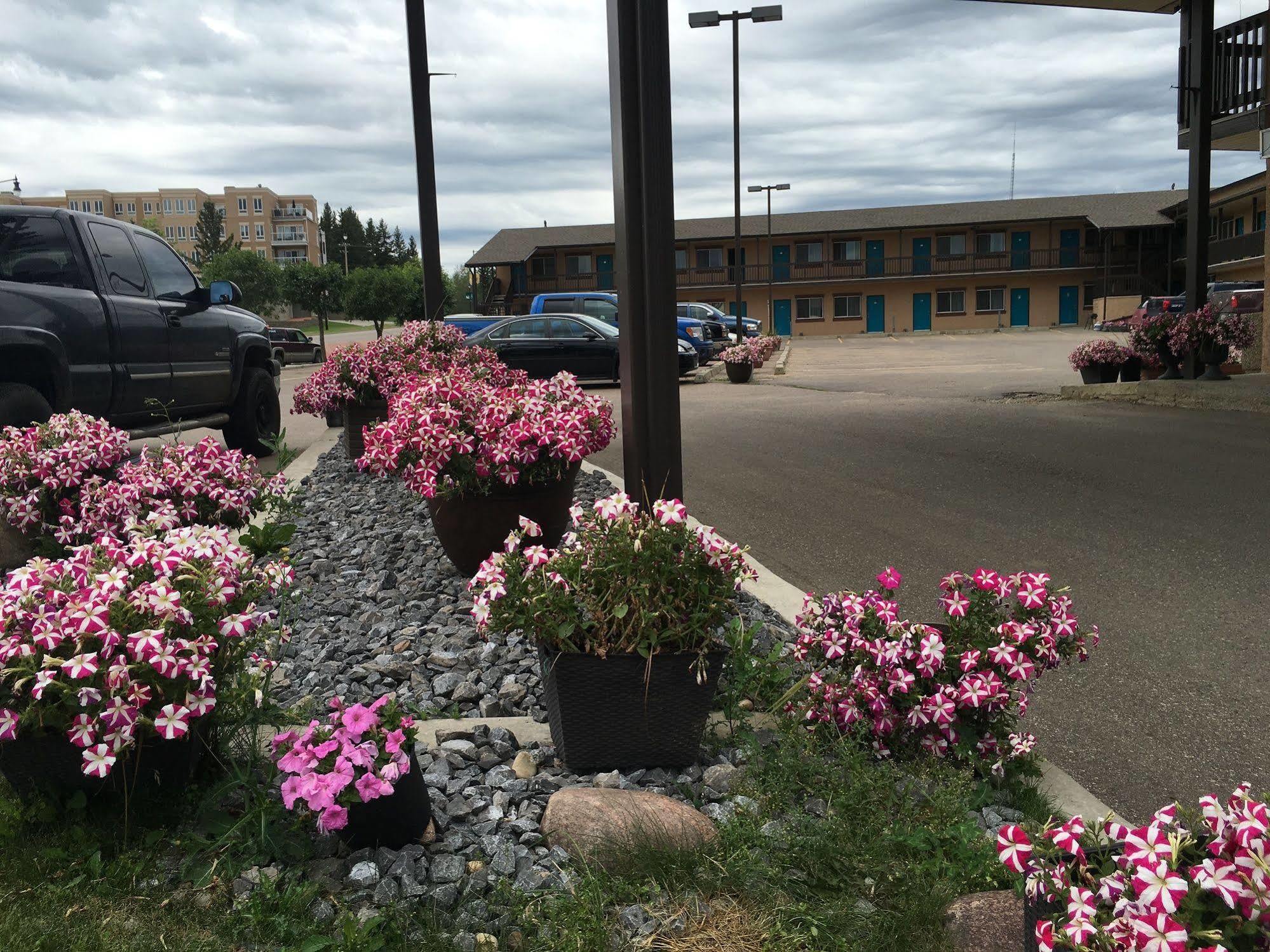 Dockside Motel 2*